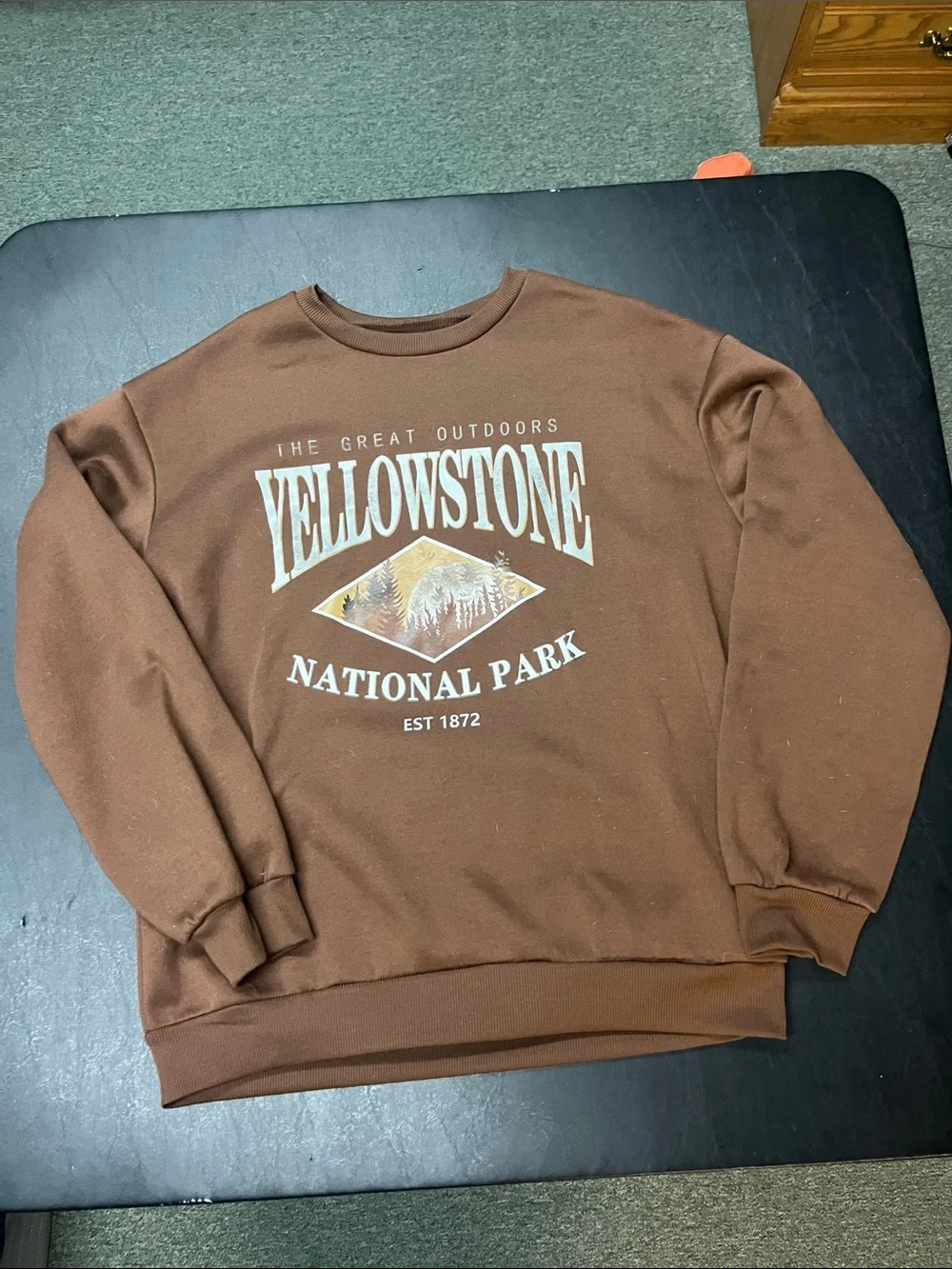 J. Crew Brown Yellowstone National Park Crewneck Sweater